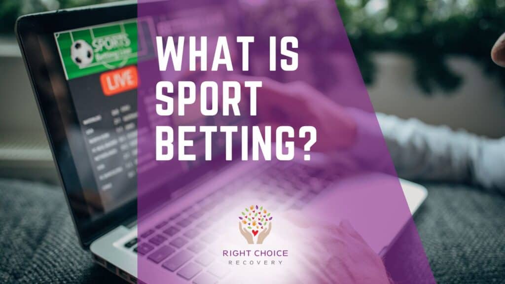 Comprehensive Casino Streaming Platforms List - Your Guide to Online Gaming Comprehensive Casino Streaming Platforms List - Your Guide to Online Gaming